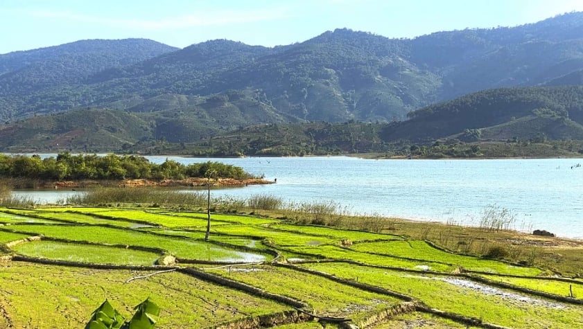 Cơm Niêu Ngon Tại Di Linh